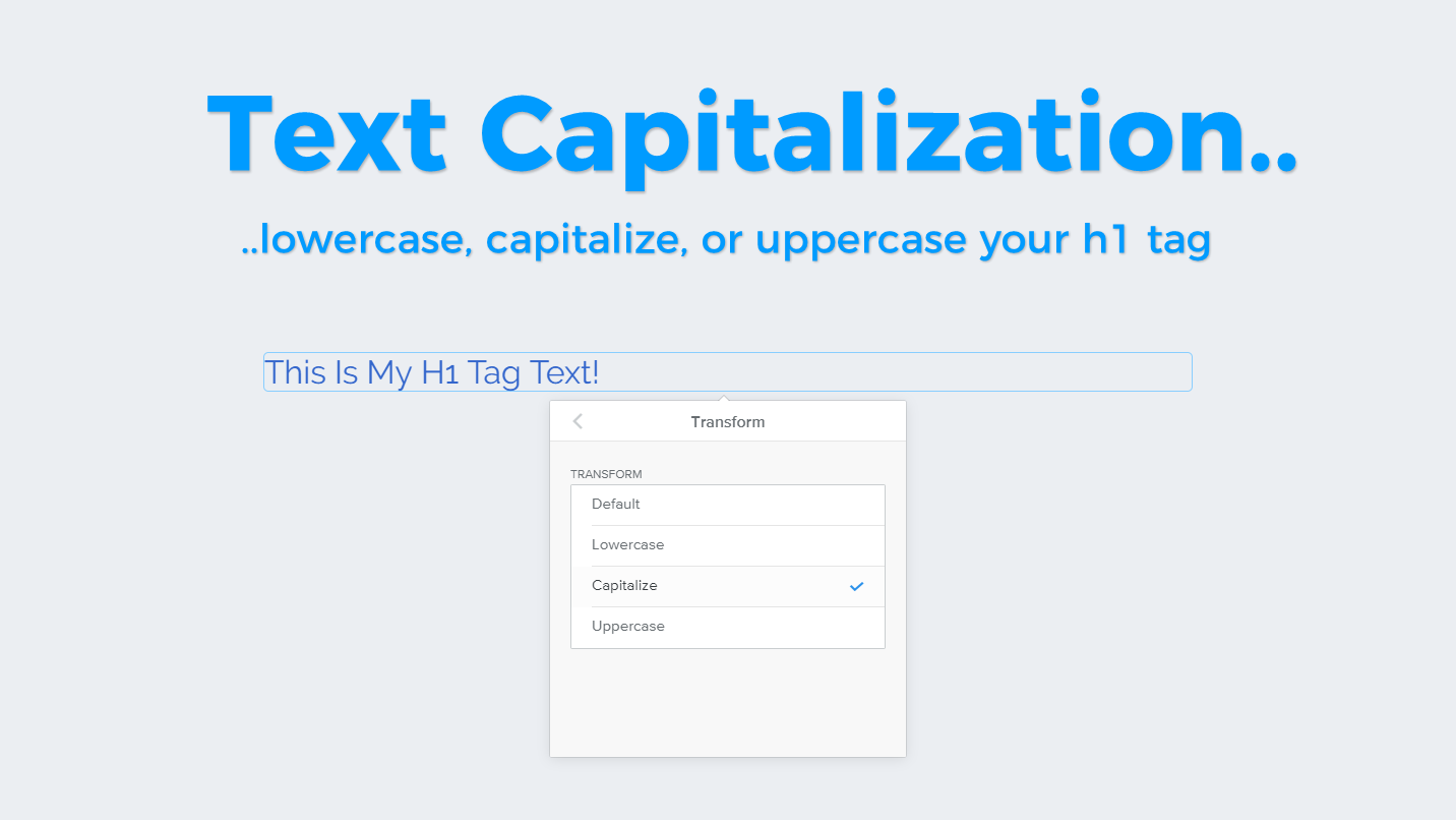 Cannot Change Tag Capitalization